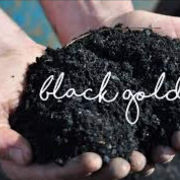 Pure worm castings - Picture 3 of 5